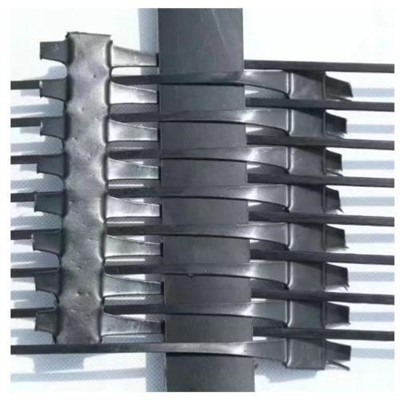 Yon -fason Detire Geogrid Uniaxial Pou Pave